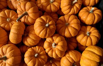 Halloween pumpkins