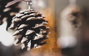 Langdon Christmas Tree Decorations