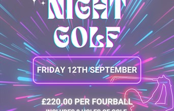 Night Golf