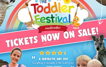 Toddler Festival