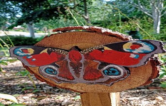 Summer Visitors Trail