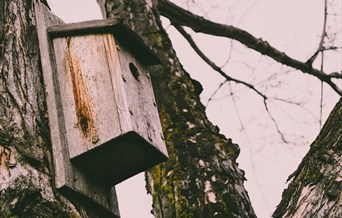 Build a Nest Box workshop at Marks Hall Estate