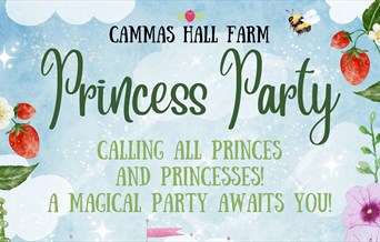 Princess Party