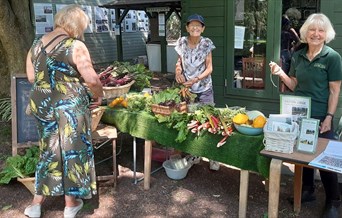 Open Thursdays at Gardens of Easton Lodge