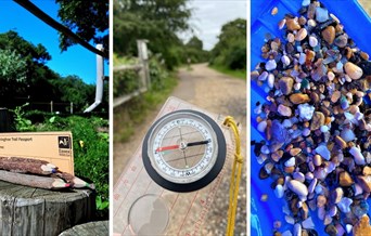 Photo montage of some wild activities - orienteering, stones, wooden pencils etc.