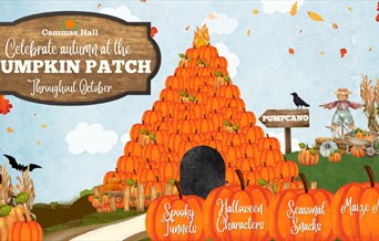 Halloween Pumpkin Patch