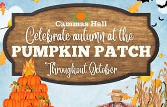 Halloween Pumpkin Patch at Cammas Hall Farm