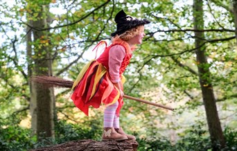 Pumpkin Trail