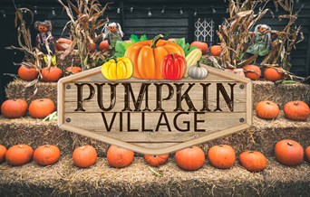 Pumpkin Picking Village