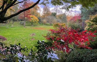 National Garden Scheme