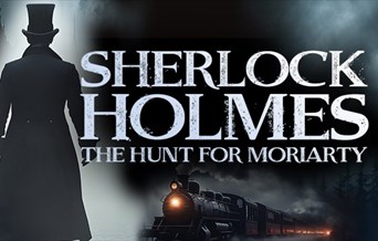 Sherlock Holmes and the Hunt for Moriarty