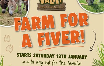 Farm Fun for a Fiver!