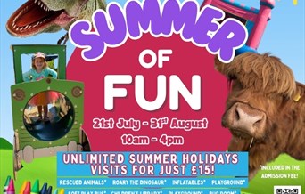 Summer of Fun