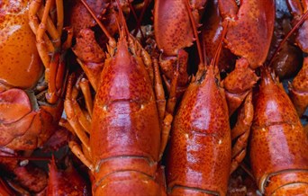 Surf & Turf Night at The Flitch of Bacon