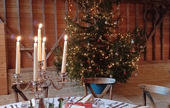 The Tailor of Gloucester with Christmas Dinner