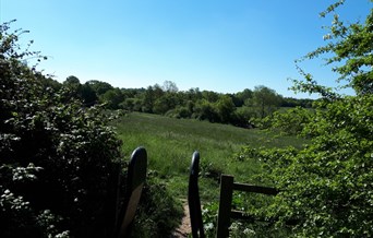 Walk from Braintree Railway Station