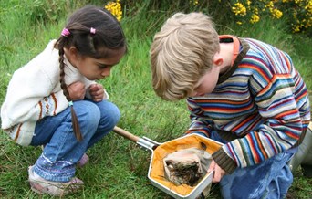Grange Farm Summer Meadow Adventure