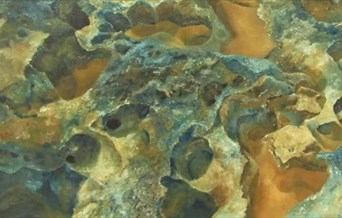 Two Rusts