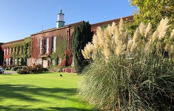 Hidden Writtle University Nature Draw