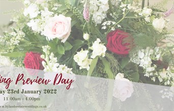 Wedding Preview Day