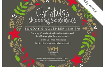 Christmas Shopping Experience