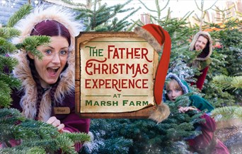 Father Christmas Experience