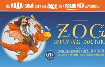 Zog and the Flying Doctors