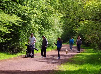 Walking in Essex