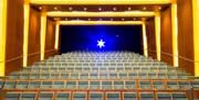 The Firstsite cinema - rows of theatre style seats, a projector shines down directly into the camera lens