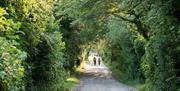 Cycling through River Lee Country Park