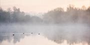 River Lee Country Park