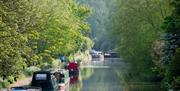 River Lee Country Park