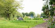 Large grass tent pitches with gravel walkway