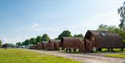 Lee Valley Glamping - Dobbs Weir