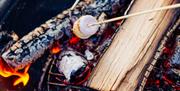 Marshmallow being roasted over burning wood on a fire pit