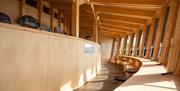 Sun shining through the expansive windows of the hide at the Wildlife Discovery Centre onto the viewing stools.