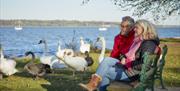 couple seated by swans in manningtree