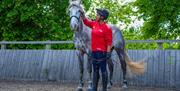 Lee Valley Riding School