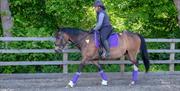 Lee Valley Riding School