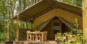 Large pre-pitched safari tent with wooden furniture on decking outside