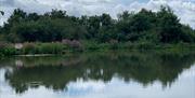 View of the lake at Langdon NDP