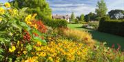 RHS Garden Hyde Hall