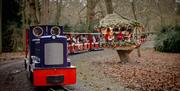 A miniature train carrying families through the woodland at Audley End Enchanted Railway, passing a festive Christmas display decorated with garlands