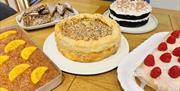 cakes
