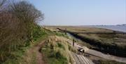 Narrow path along the seawall by Creeksea