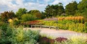 RHS Garden Hyde Hall