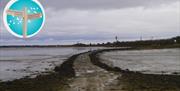 The tidal causeway at Northey Island