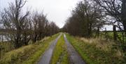 Northey Island country lane