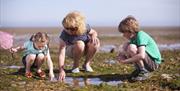 Mersea Island Holiday Park