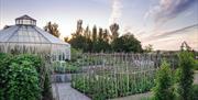 RHS Garden Hyde Hall